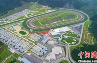 穗港赛马经济圈加速构建 世界级马场为大湾区注入“马”力