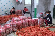 “小村庄”到“大市场”：陕西特色产业助推乡村振兴