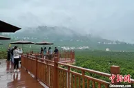 重庆万州：农旅融合绘新景 美丽乡村开启“美丽经济”
