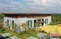 一根稻草的“循环之旅”：“变废为宝”向“绿”而行