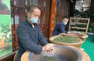 贵州欲把早茶打造成茶产业新的“增长极”