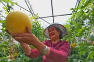 宁夏：“产业铺路”全力以赴跑出乡村振兴“加速度”