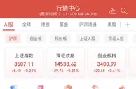 A股集体高开：沪指涨0.24% 新研股份开盘跌停