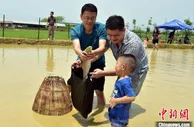 “五一”假期广东游客以本地游、周边游为主