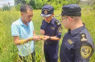 湖南衡阳黄花菜深加工产品首次出口