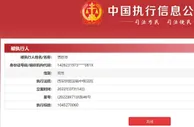 贾跃亭新增恢复执行案件 执行标的超10亿元