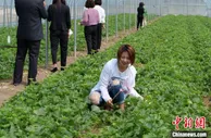 内蒙古新农人巧用“新农具”为乡村注入“新活力”
