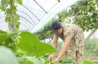 葡萄地里双丰收 湖南农民让土地持续“生金”