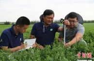 综述：呼伦贝尔：打造生态产业化 产业生态化