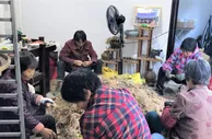 “闽东药城”福建柘荣：做活“林”文章 乡村添绿增收