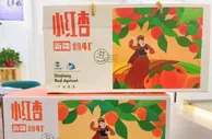 卖出80余吨！浙江台州助力新疆阿拉尔小红杏走向全国