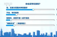 资产焦虑叠加学区焦虑 炒学区房、炒房应如何监管？