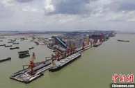 广州港打造年吞吐量3500万吨华南粮食仓储物流集散中心