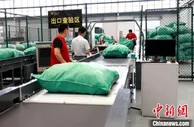 海外云购物热 义乌前四月出口票件量同比2019年增长逾两番