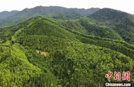 广东20个省级森林生态综合示范园建成开放