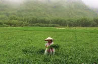 穗港联手打造赛马产业经济圈 马产业惠及从化山村
