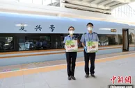 甘肃庆阳黄土塬生鲜“坐高铁”：甘味“当日达”上餐桌