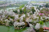 旅游绿皮书：微度假旅游逐渐成为游客首选出行模式