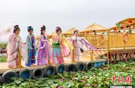 新疆博湖县睡莲花开助力第一届莲花旅游季