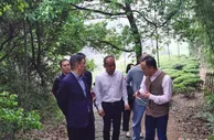 “土味”乡村融入艺术气息 浙江传统村落奔向振兴路