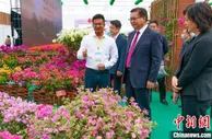 广西花卉苗木产值近200亿元 致力打造成全国花卉苗木集散中心