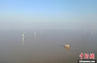 盐城沿海“风光”好 新能源产业蓄力助“双碳”
