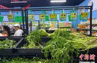 海口春节菜价不再“高不可攀” 货足价稳更亲民