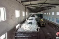 中欧班列“东通道”助力春耕物资运输“加速度”