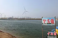 探访江苏盐城蟹苗基地：科技加持，“反季”大闸蟹爬上春夏餐桌