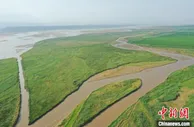 一泓清水入黄河 山西运城清河净波生态修复“母亲河”