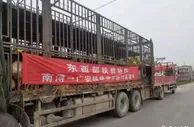 浙江湖羊“致富日记”：“远嫁”四川叩开共富之门