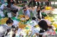 新疆喀什举办赛杏会 首发300吨鲜杏至北上广