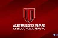成都蓉城将联合公安干警全网搜捕网络攻击相关人员，打击黄牛
