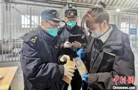 一季度甘肃对“一带一路”沿线国家进出口同比增长近六成