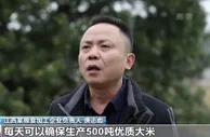 超1万个粮食市场信息监测点！元旦春节粮油供应有保障