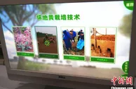 赵章红：助力家乡“虚拟”产业不“务虚”