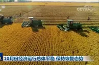 10月份经济运行总体平稳 保持恢复态势