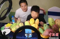 第七届“互联网+百色芒果节”启动 产销对接会意向成交额5.8亿