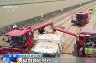 在希望的田野上·三夏时节：主产区小麦机收稳步推进