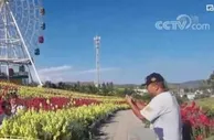 青海西宁花海香四溢、旅游富农家 有力推动乡村振兴