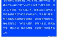 西藏航空回应飞机起火：飞机异常中断起飞 有人轻伤