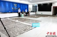 中越边境广西靖西查获走私海马干逾万尾 案值超百万