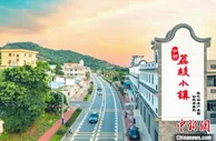 广州增城荔枝产业高质量发展 畅销大湾区市场