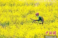 清明假期山西旅游揽金超46亿元 旅游收入略高于2019年同期水平