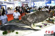 渔博会、菌博会福州启动 展会实现碳中和