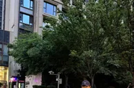 韦世豪晒个人武汉生活照：舒服的城市