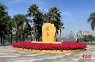 年轻且古老的活力深圳