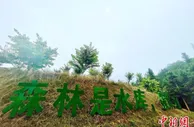 “点绿成金” 福建周宁走出生态富民路