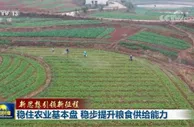 稳住农业基本盘 稳步提升粮食供给能力