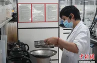 广东加快落实留抵退税   盘活制造企业资金流